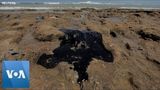 Mysterious Oil Spills Blot More Than 130 Beaches in Brazil