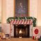 Biden's seventh grandchild left from Christmas display for second year as dog, cat get own stockings