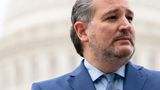 Cruz says squad members' comments 'indistinguishable' from what Hamas press secretaries would say