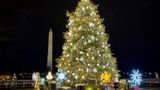 Winds blow over National Christmas Tree
