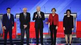 Democratic Presidential Contenders Differ on Key Policies
