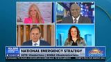 NATIONAL EMERGENCY STRATEGY