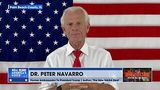 Peter Navarro: Come November We Have To Take Back The Senate