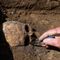 Fossil of human ancestor ‘Dragon Man’ is ‘one of the most important yet discovered’