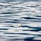 Climate Change Data Return to EPA Website