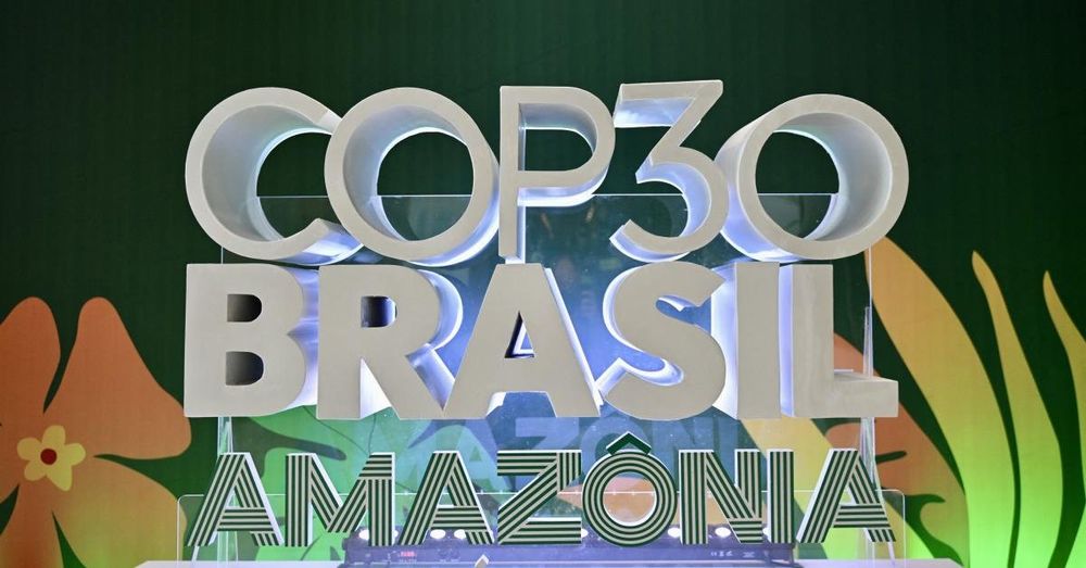 Brazil carves through Amazon rainforest for new highway to ferry global climate conference elites