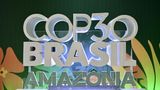 Brazil carves through Amazon rainforest for new highway to ferry global climate conference elites