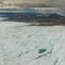 Scientists in Greenland announce discovery of 'ancient environmental DNA,' the oldest yet found