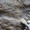 Ancient footprints in New Mexico push human colonization of North America back thousands of years