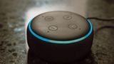 Amazon admits error made Alexa provide differing answers on voting for Trump vs Harris