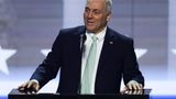 Scalise warns that Democrats will impeach Trump if they win control of Congress in November