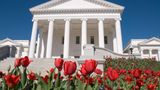 Virginia legislative update: Energy bills progressing in House and Senate