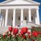 Proposed Virginia law would charge parents with child abuse if they dispute child's gender identity