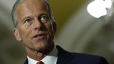 Thune expects more 'explosive' hearings on Trump's executive powers