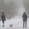 Snowstorms Flank US, with Northeast, California Digging Out