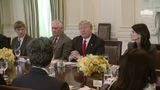 President Trump Has Lunch with the United Nations Security Council