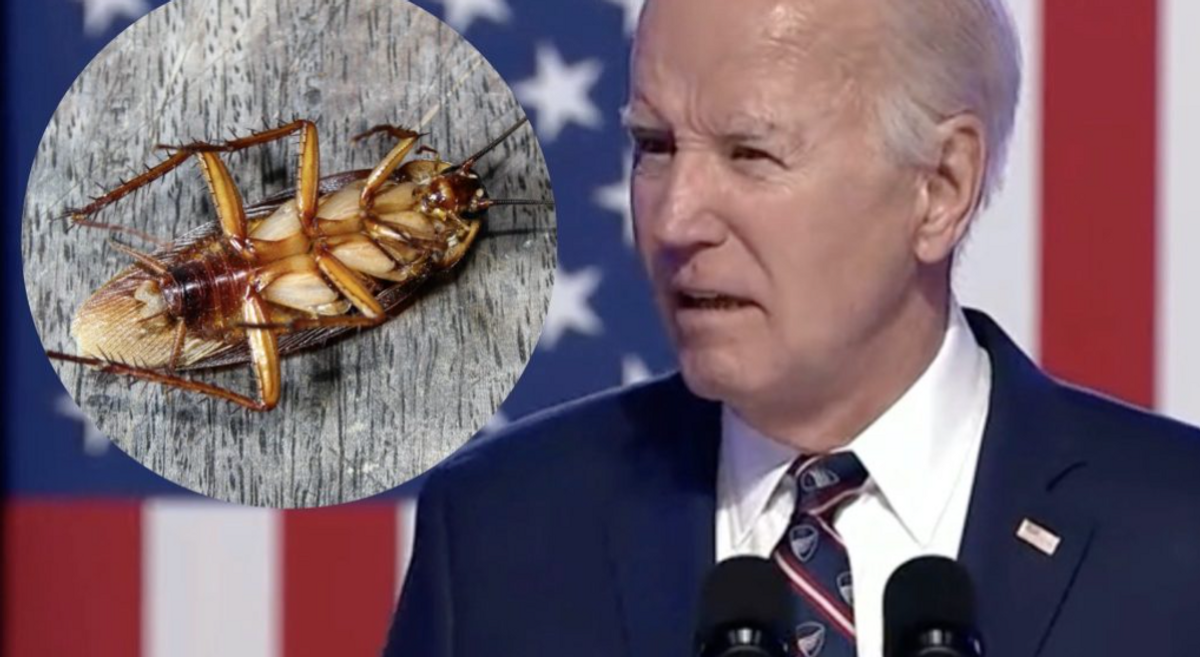 ChatGPT Can’t Verify if President Biden is Smarter Than a Cockroach