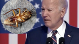 ChatGPT Can’t Verify if President Biden is Smarter Than a Cockroach