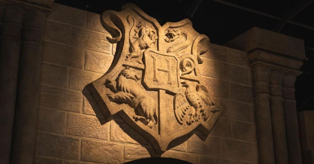 Education Department joins viral 'Malfoid' trend as 'Harry Potter' rewrites sweep social media