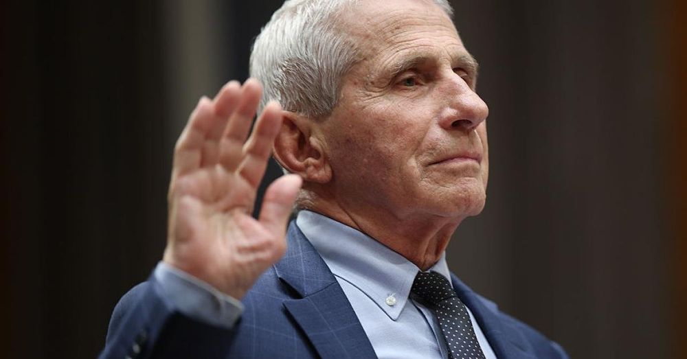 Democrats never used 'access code' GOP gave them to review damning Fauci evidence, Rand Paul says