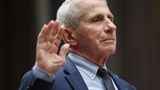 Democrats never used 'access code' GOP gave them to review damning Fauci evidence, Rand Paul says