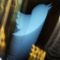 Twitter Deletes 10K Accounts That Sought to Discourage US Voting