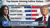 THE HISPANIC VOTE IMPACT