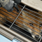 Red Fox Terrorizes Humans in US Capitol Rampage