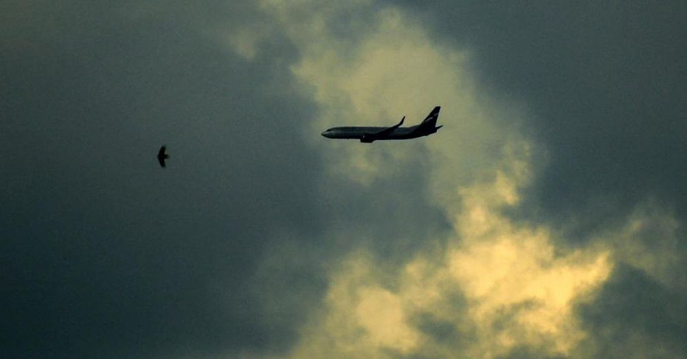 Air India flight to London crashes after takeoff, no survivors reported among 240-plus aboard