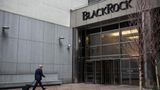 BlackRock recruiter says $10k 'can buy a senator,' calls Ukraine war 'good for business': Video