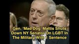 Gen. ‘Mad Dog’ Mattis Shuts Down NY Senator On LGBT In The Military With One Sentence