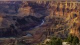 Grand Canyon National Park to get electric, natural gas busses