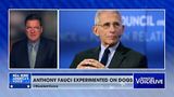 Dr. Fauci Funded Experiment Intentionally Killed Puppies