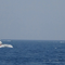 US Says Iranian Military Boat Came Within 150 Yards of US Warships