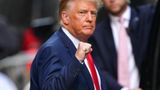 New York prosecutors leading Trump probe resign