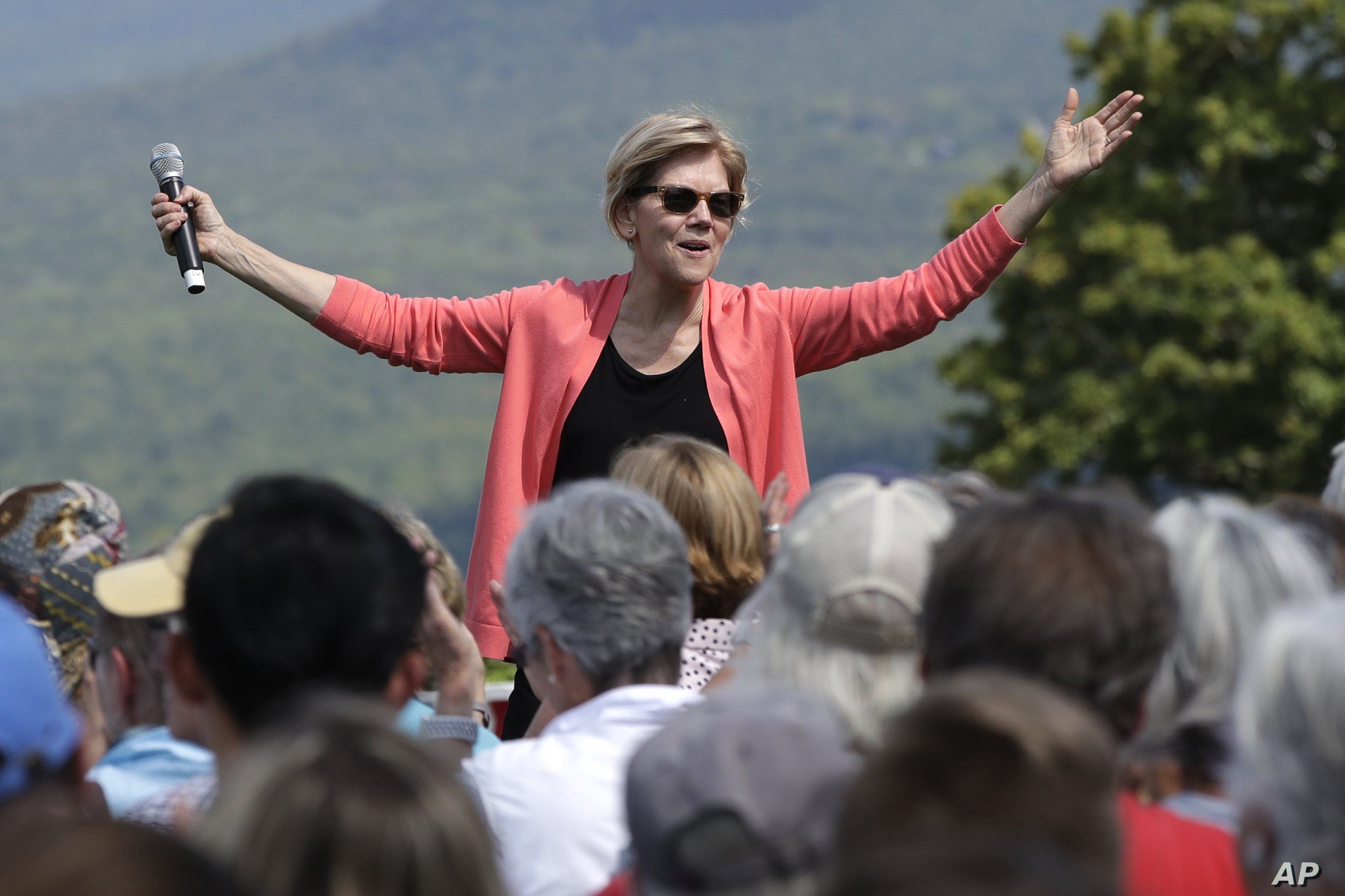 Democratic presidential candidate Sen. Elizabeth Warren, D-Mass., speaks at a campaign event, Aug. 14, 2019, in Franconia, N.H.