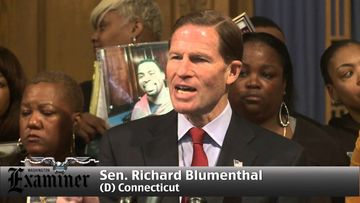 Lawmakers, families gather to remember gun violence victims