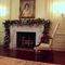 Bo Obama inspects the White House 2012 Christmas decorations