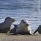 Faith-based nature docuseries bypassing gatekeepers thanks to crowdfunding