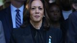 Border patrol faces subpoena threat for allegedly hiding Harris’ role as border czar