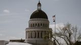 Anti-Israel demonstrators occupy California capitol: 'The demonstration was disruptive'