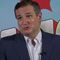 Ted Cruz defends his role in D’Souza’s Presidential Pardon