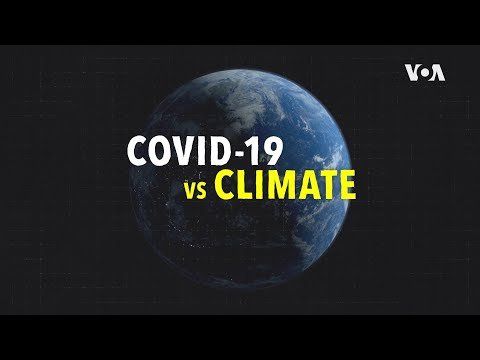 How Has COVID-19 Affected Climate Change?