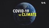 How Has COVID-19 Affected Climate Change?