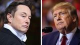 Elon Musk says Trump should 'sail into the sunset' after former POTUS calls him 'bull**** artist'