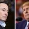 Trump slams Musk again: "I could have said, 'drop to your knees and beg,' and he would have done it"