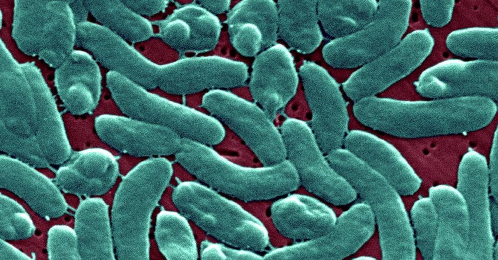 Five people die from flesh-eating bacteria in Louisiana, health officials say