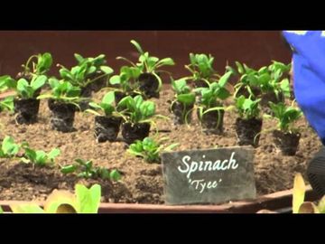 First lady plants White House garden