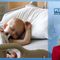 The Fight Against Cancer | Plugged In with Greta Van Susteren
