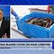 China Says U.S. Started Covid-19 - using Lobsters…?